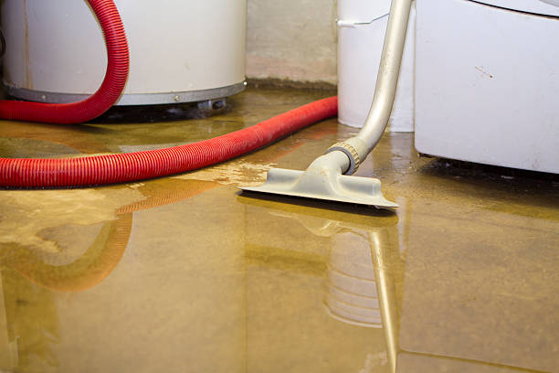 Best Local water damage restoration  in Landen, OH