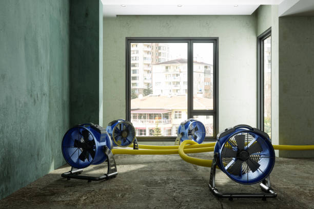 Best 24-hour water damage restoration  in Landen, OH